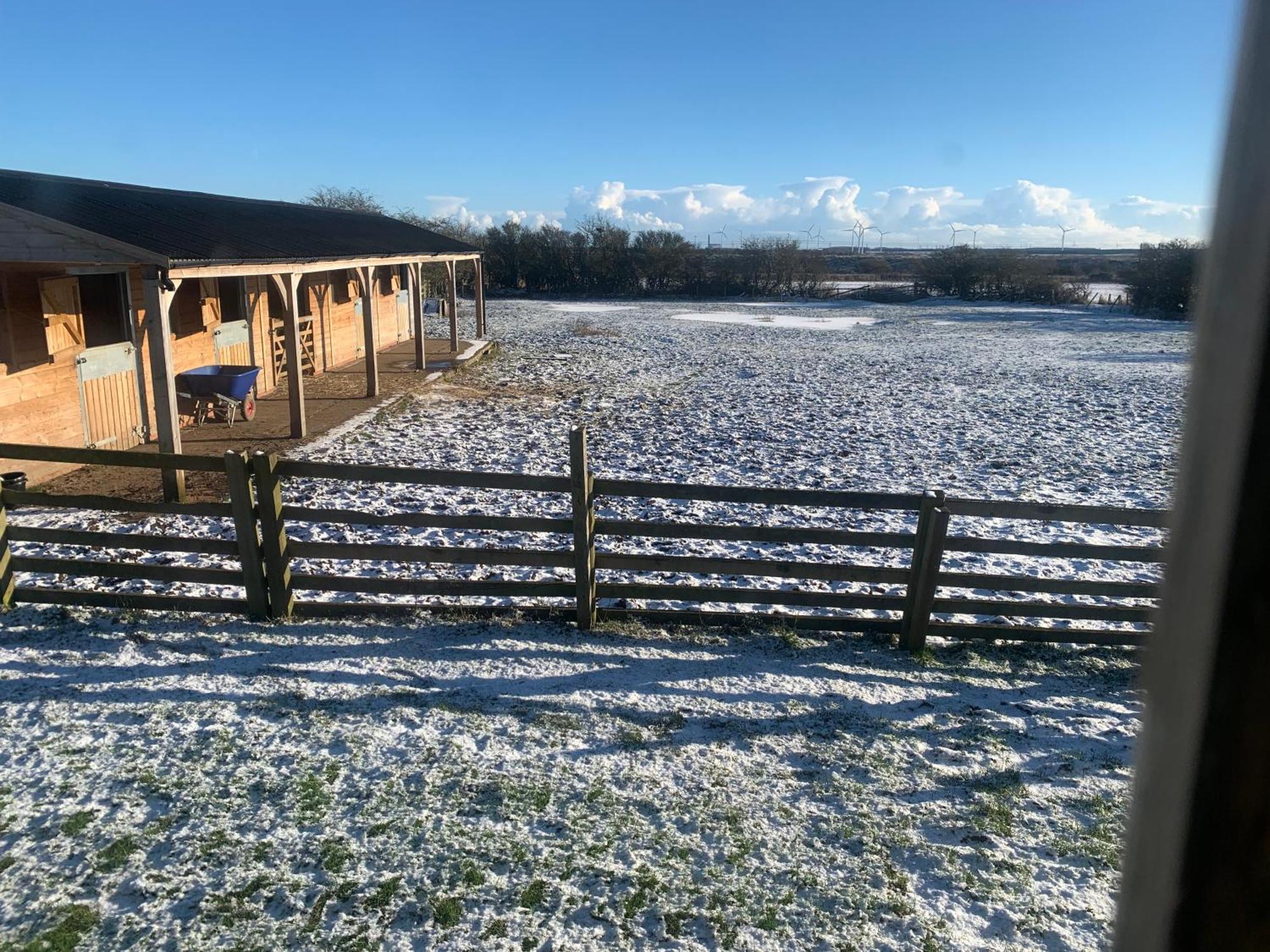 Owls Nest Log Cabin Morpeth Eksteriør billede